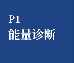 P1 能量诊断