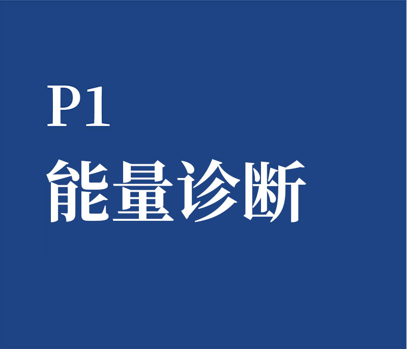 P1 能量诊断