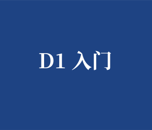 D1 入门