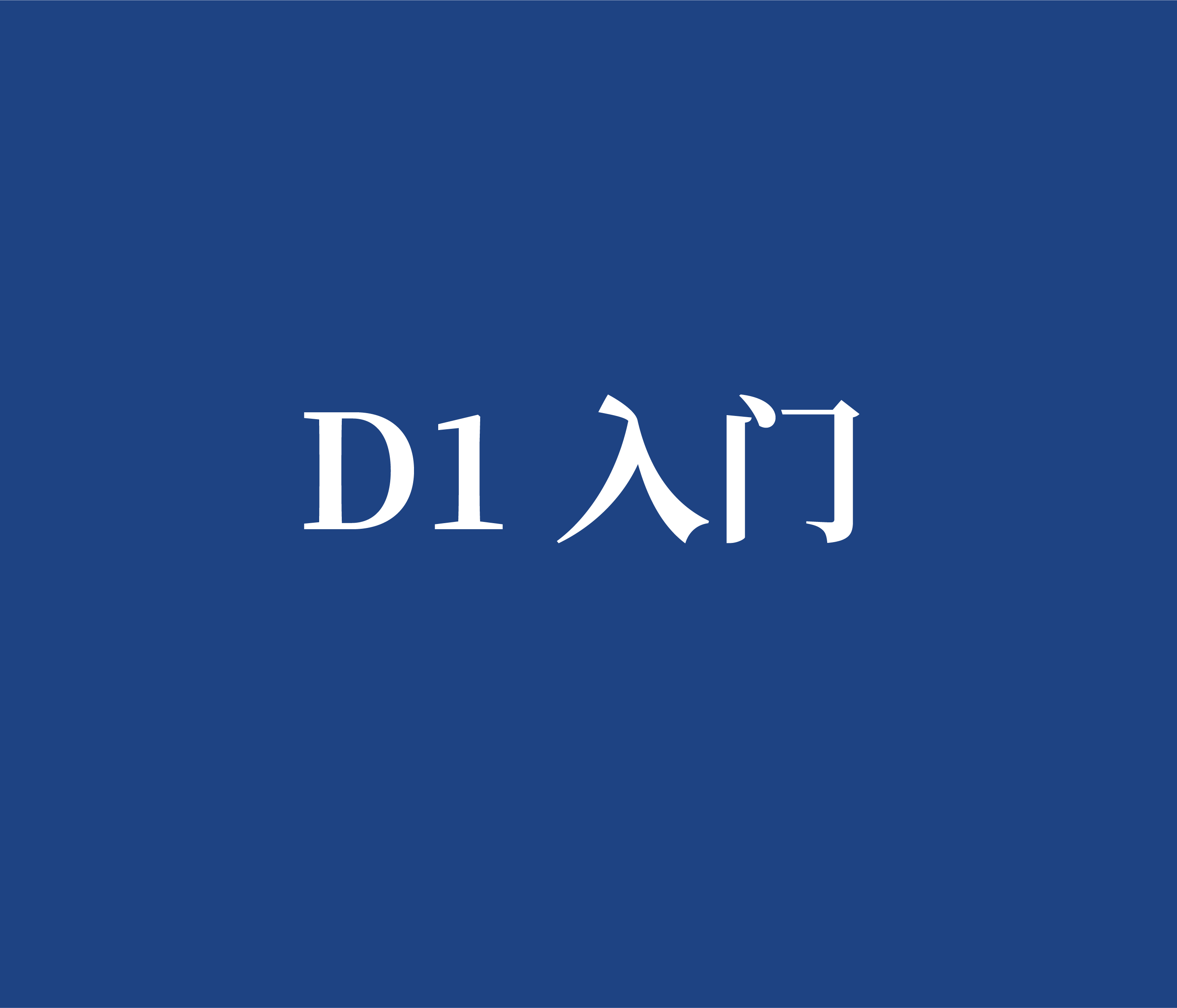 D1 入门