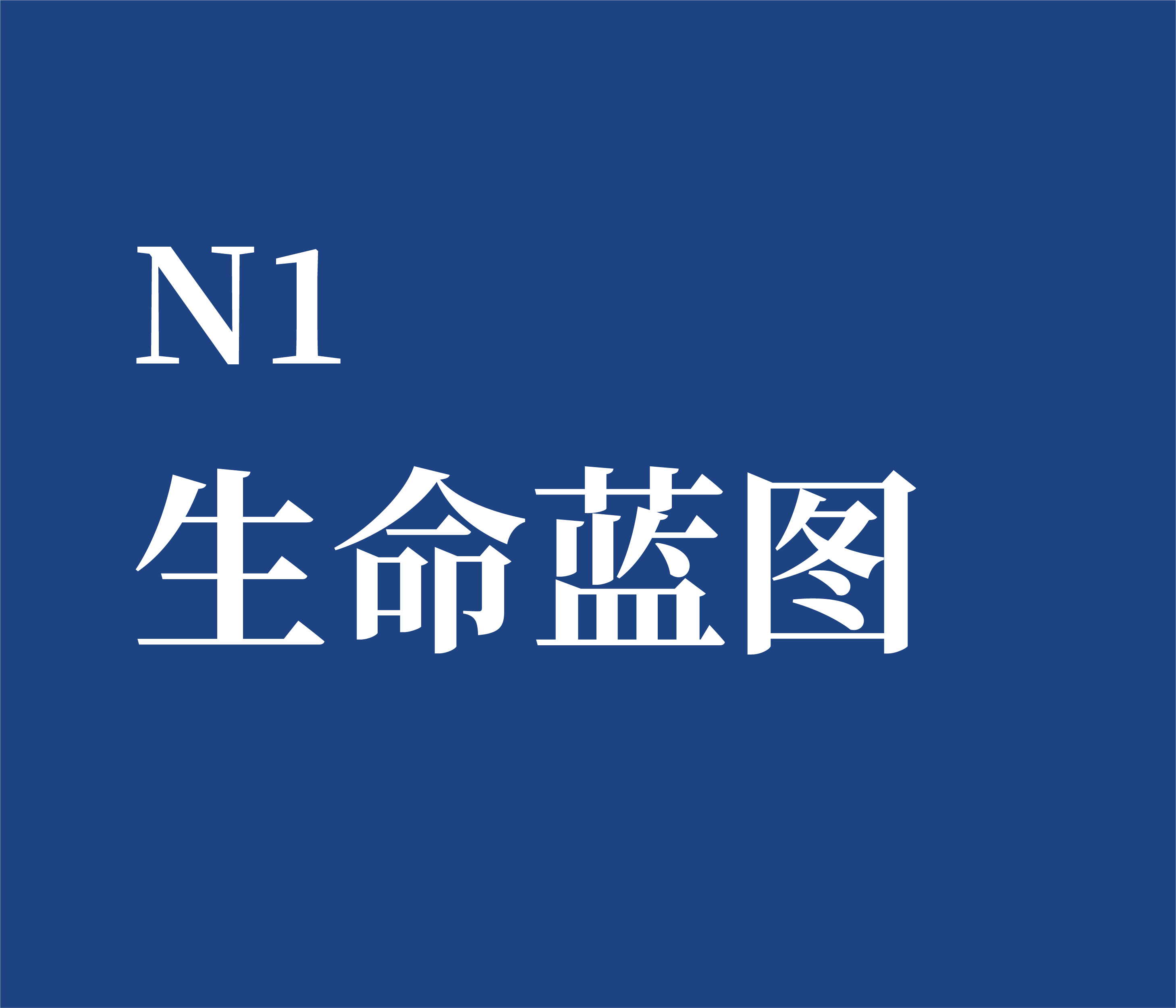 N1 生命蓝图咨商能量诊断个案