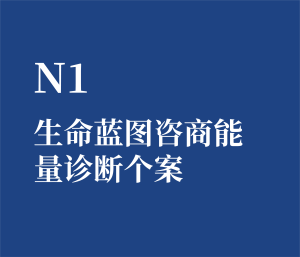 个人单选 N1 生命蓝图咨商能量诊断个案
