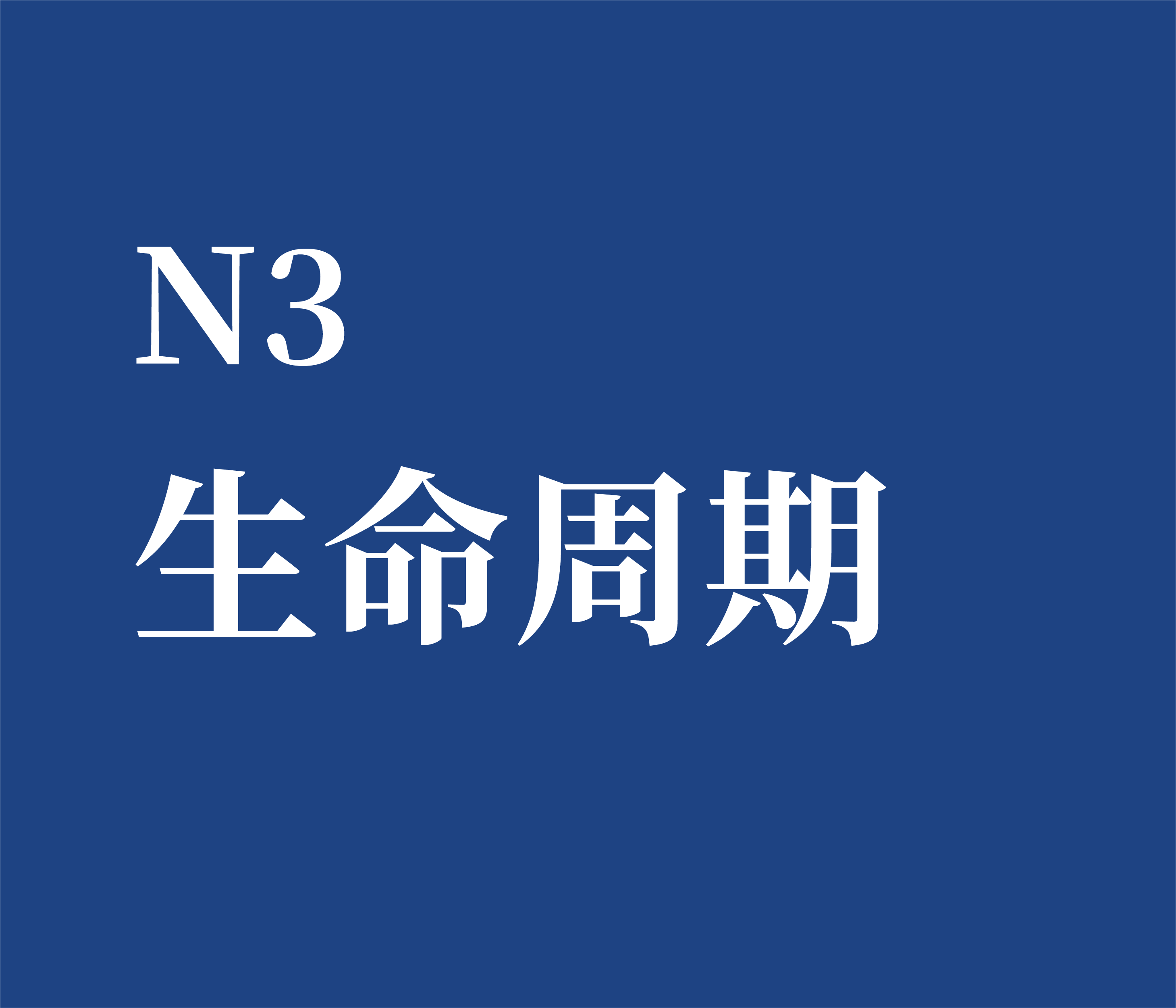 N3 生命周期咨商能量诊断个案