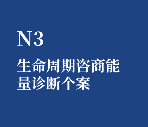 个人单选 N3 生命周期咨商能量诊断个案