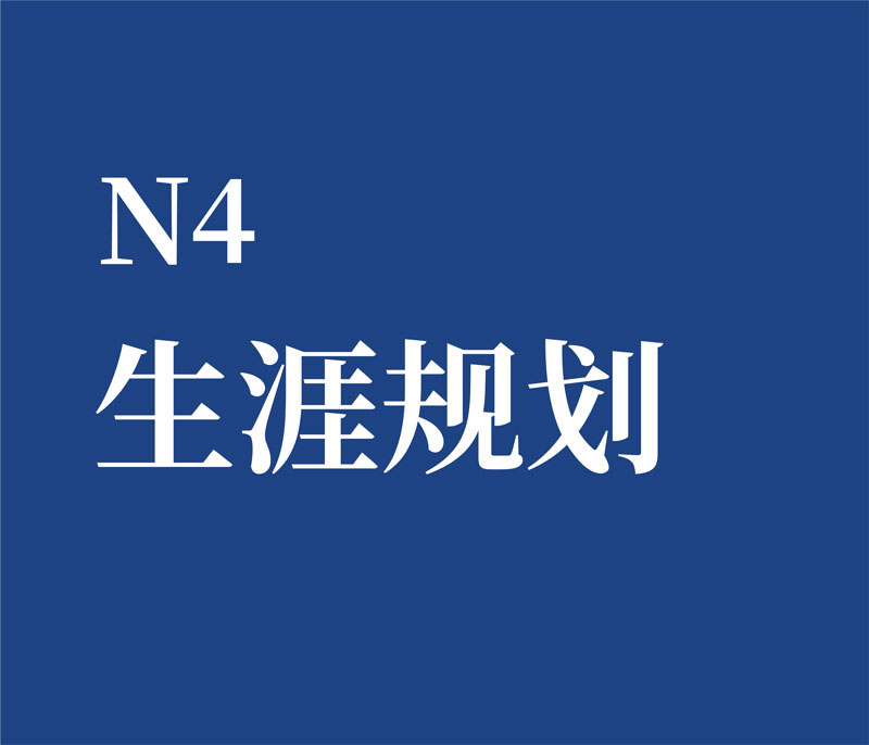 N4 职业生涯规划
