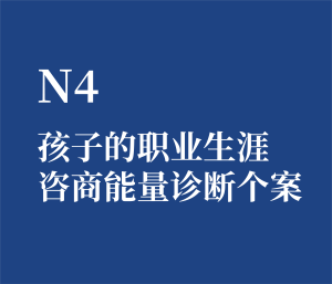 个人单选 N4 孩子的职业生涯咨商能量诊断个案