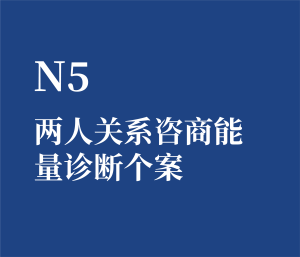 个人单选 N5 两人关系咨商能量诊断个案