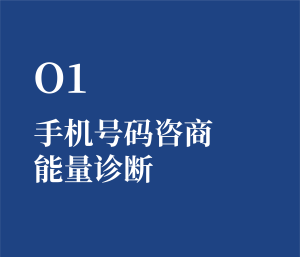 个人单选 O1 手机号码咨商能量诊断