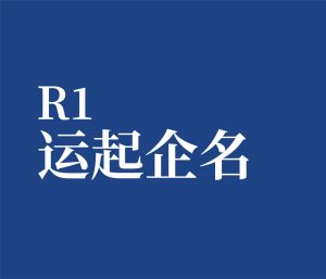 公司单选 R1 公司运数起名