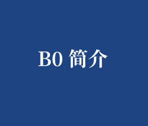 B0 简介 FOC