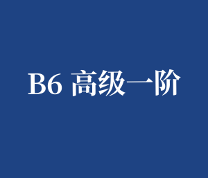 B6 高级一阶