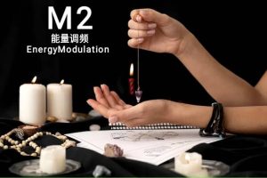 M2 能量调频 Consultations