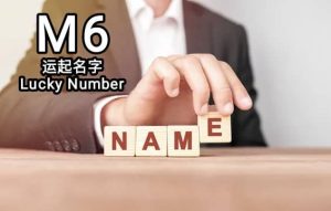 M6 运起名字 Consultations