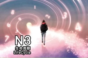 N3 生命周期 Consultations