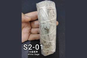 S2-01 白鼠尾草~净化超强 Purifications